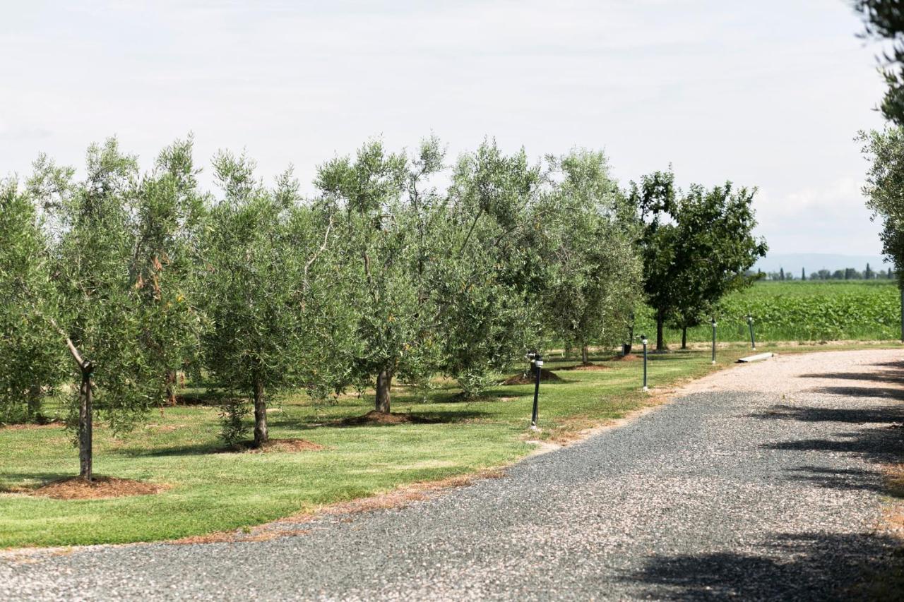 Agriturismo Valdo Grosseto Eksteriør billede