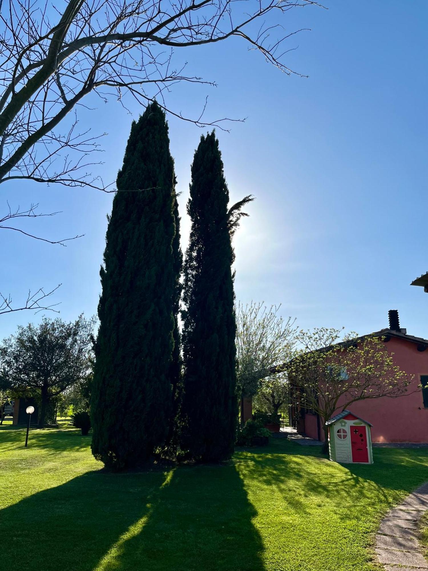 Agriturismo Valdo Grosseto Eksteriør billede