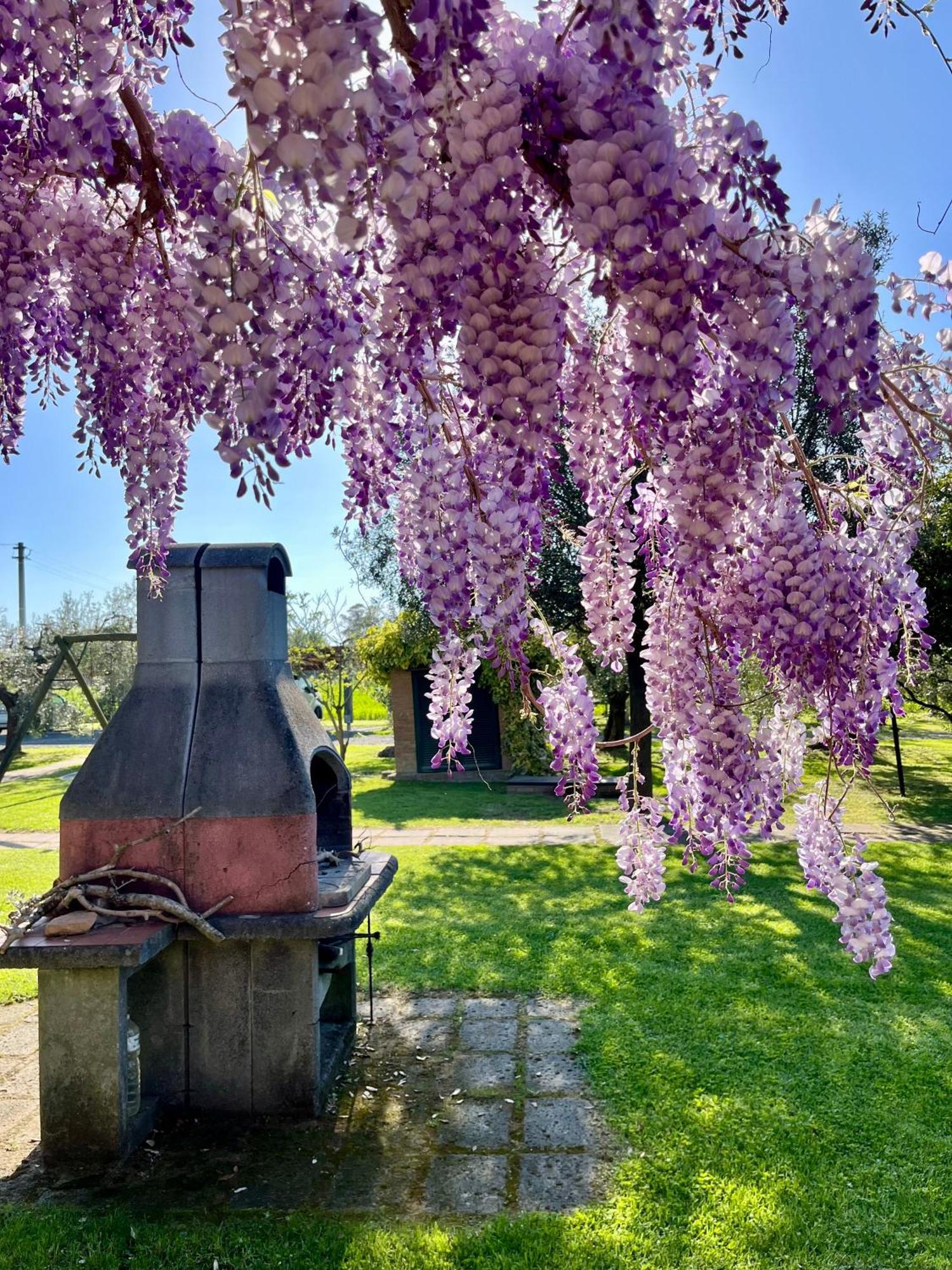 Agriturismo Valdo Grosseto Eksteriør billede