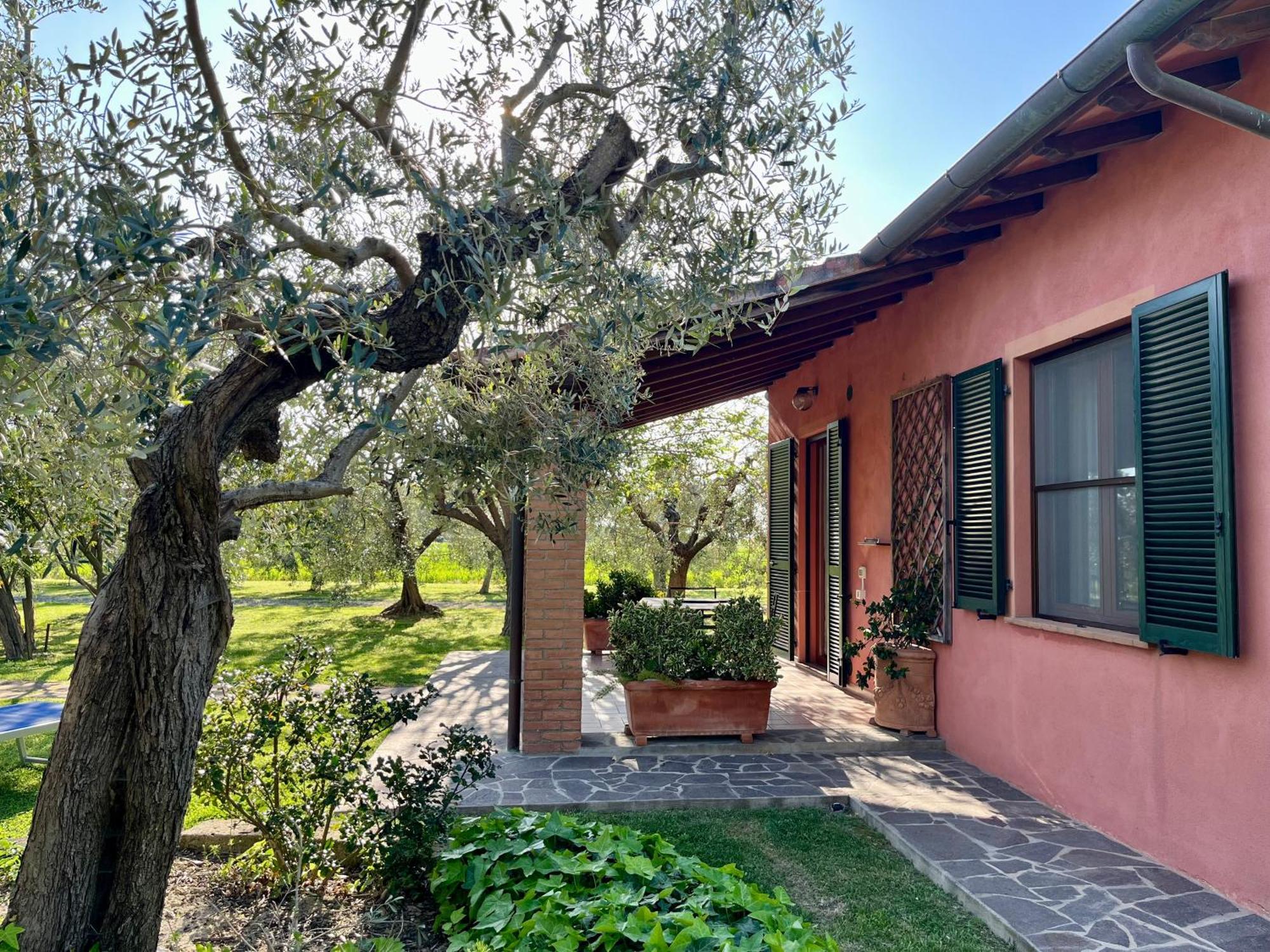 Agriturismo Valdo Grosseto Eksteriør billede