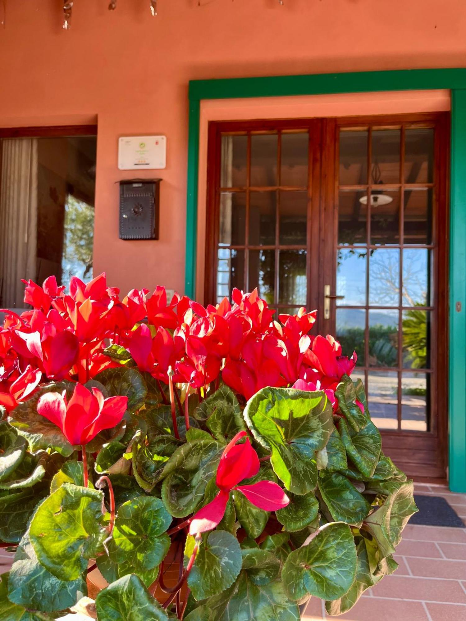 Agriturismo Valdo Grosseto Eksteriør billede