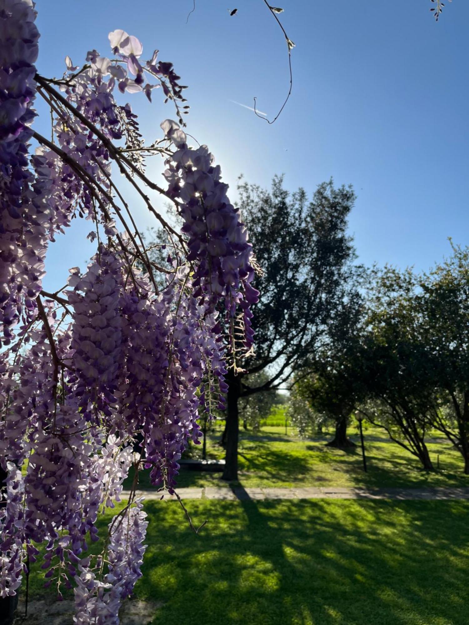 Agriturismo Valdo Grosseto Eksteriør billede