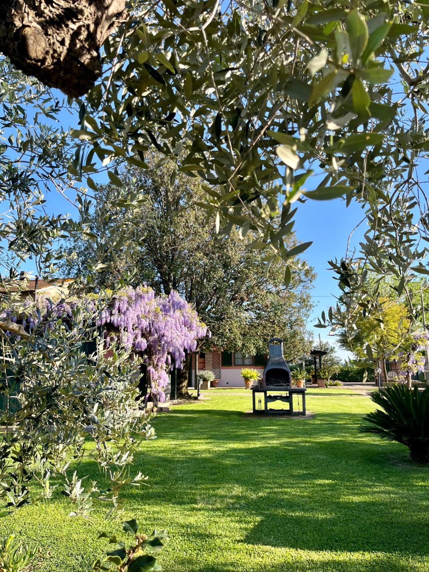 Agriturismo Valdo Grosseto Eksteriør billede